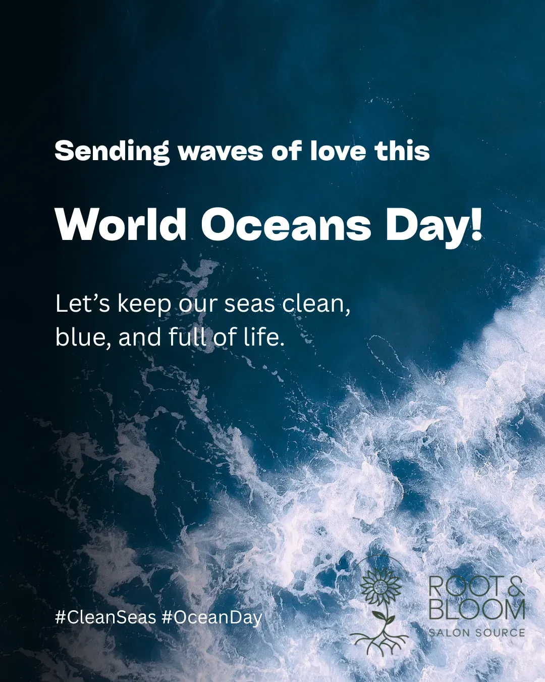 World Oceans Day graphic over crashing ocean waves: Let’s keep our seas clean, blue, and full of life